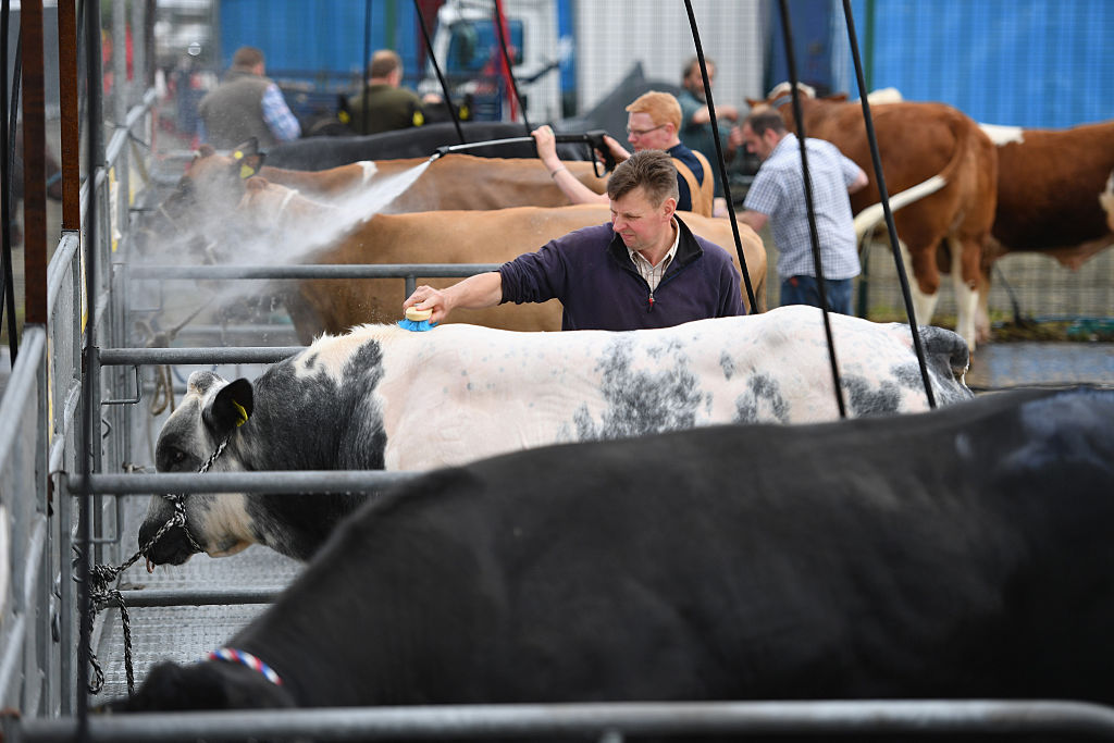 Preparations Are Made For The Royal Highland Show