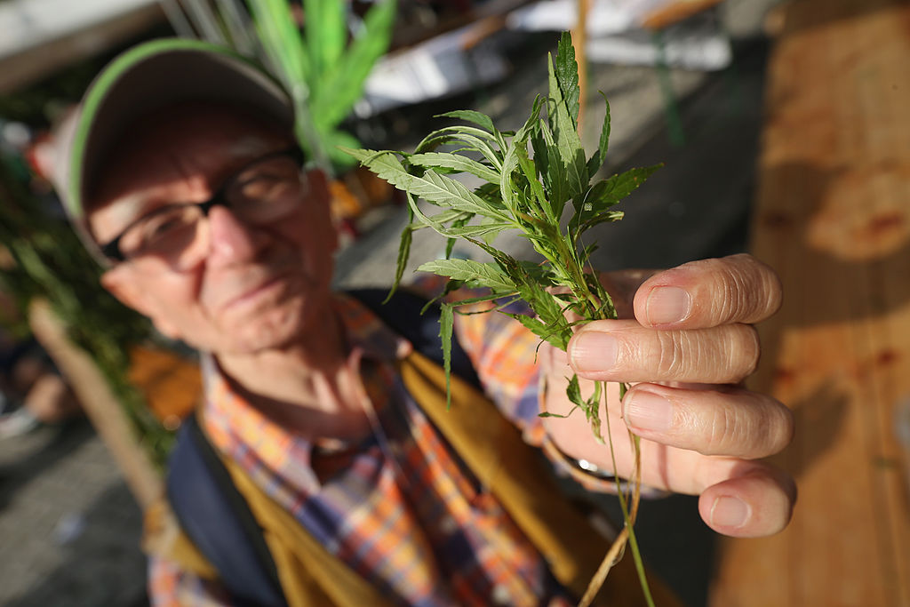 Senior Citizens To Have Daily Dose Of Cannabis During Retirement