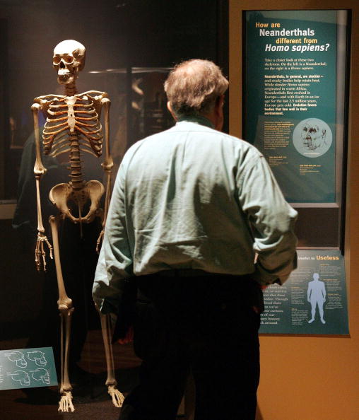 New Research Reveals Neanderthal Heal Habits [VIDEO]