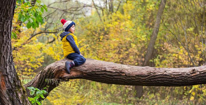 Child in a Tree (IMAGE)