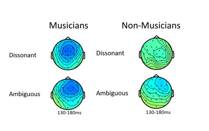 Topographic Map of How the Brain Reacts in Musicians and Non-Musicians (IMAGE)