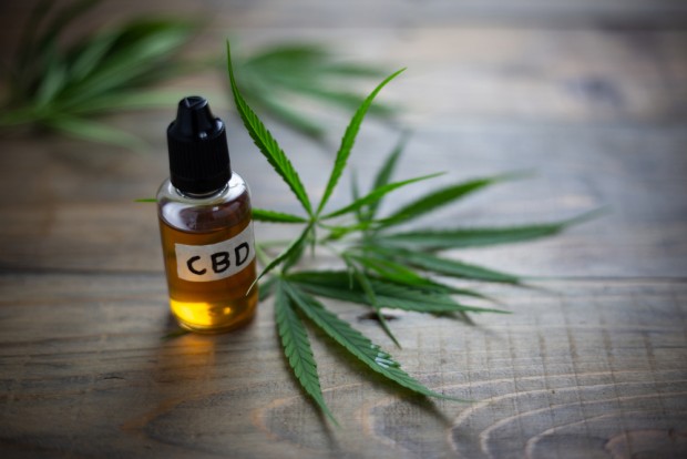 Could CBD Be Used in Place of Dangerous Pharmaceuticals: What We Know