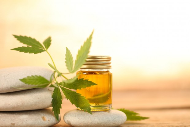 Can The Best CBD Oil For Anxiety Really Help You Long Term