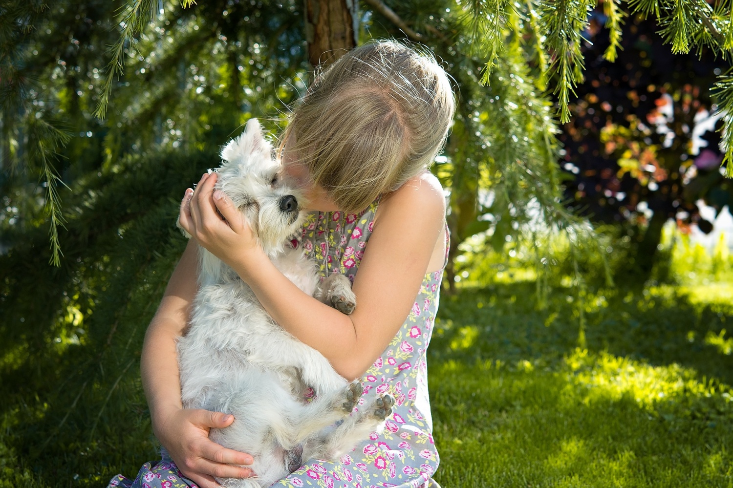 Pets and Their Healing Powers