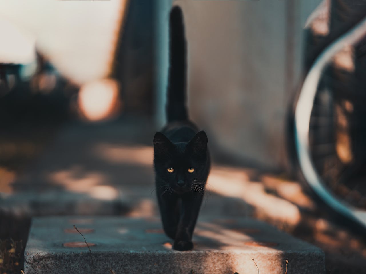 The Pros and Cons of Believing in Superstitions