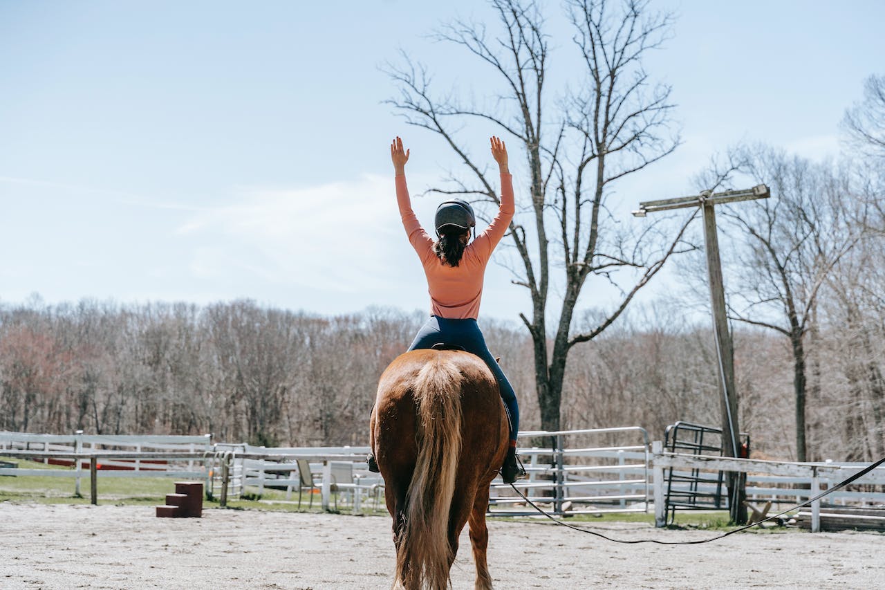 Equine Therapy: Everything to Know
