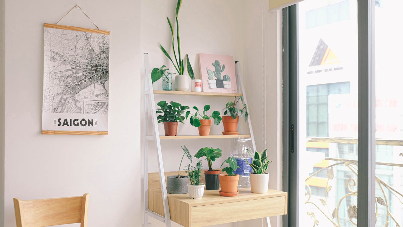 Mental Health Benefits of Indoor Plants