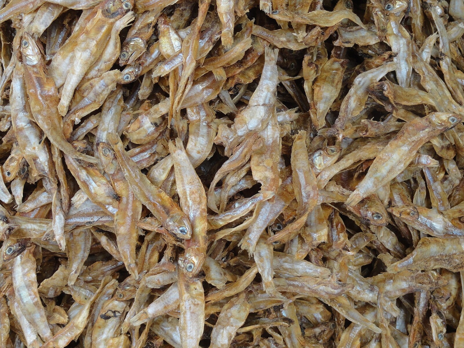 dried small fish